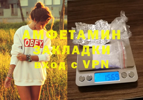 ГАЛЛЮЦИНОГЕННЫЕ ГРИБЫ Верея