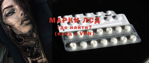 ГАЛЛЮЦИНОГЕННЫЕ ГРИБЫ Верея