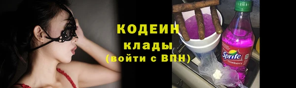 ГАЛЛЮЦИНОГЕННЫЕ ГРИБЫ Верея