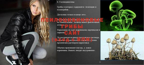 ГАЛЛЮЦИНОГЕННЫЕ ГРИБЫ Верея