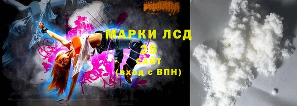 ГАЛЛЮЦИНОГЕННЫЕ ГРИБЫ Верея