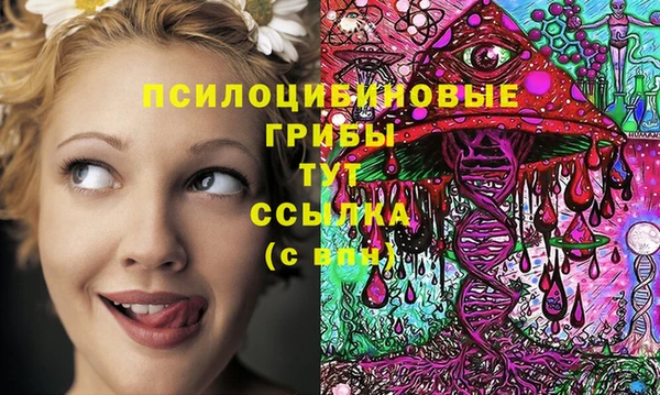 ГАЛЛЮЦИНОГЕННЫЕ ГРИБЫ Верея
