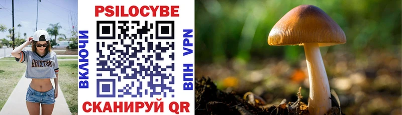 Псилоцибиновые грибы прущие грибы Бронницы